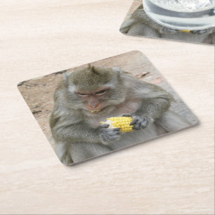 Porta-copo De Papel Quadrado É Meu!! ... Macaco Tailandês Selvagem