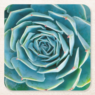 Porta-copo De Papel Quadrado Echeveria Roseta, Jardim Secreto de Marrakech