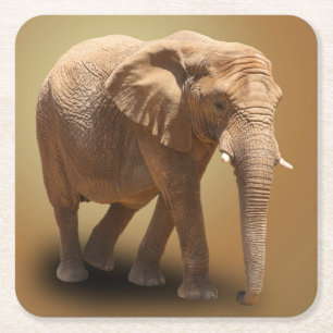PORTA-COPO DE PAPEL QUADRADO ELEFANTE