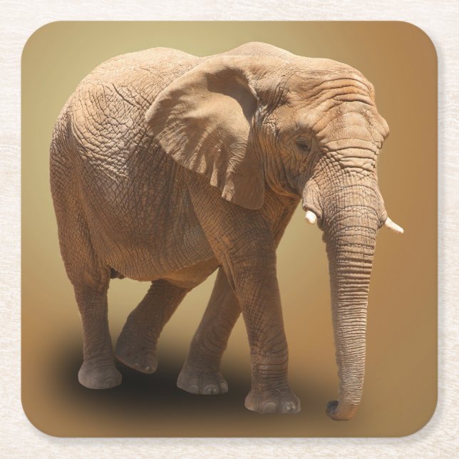PORTA-COPO DE PAPEL QUADRADO ELEFANTE (Frente)