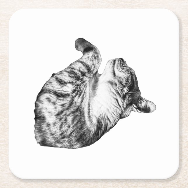 Porta-copo De Papel Quadrado Ember-Step Purr (Frente)