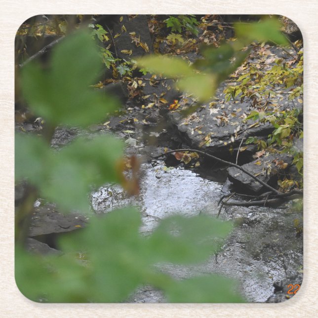 Porta-copo De Papel Quadrado Encantamentos da Terra (Frente)