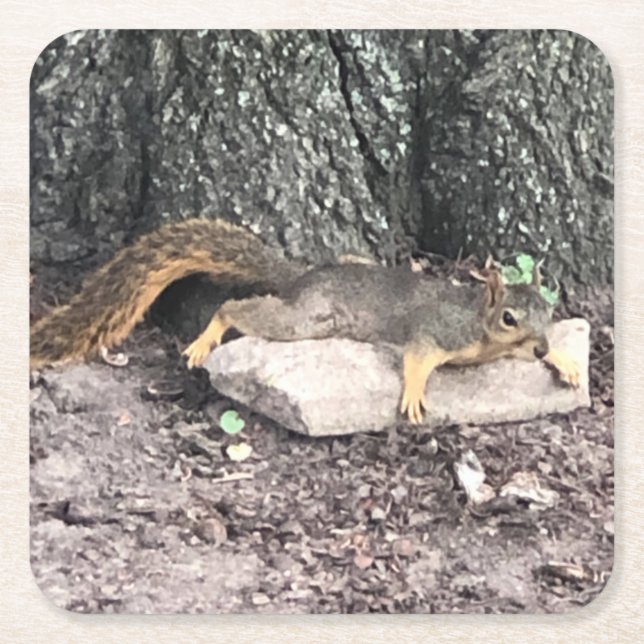 Porta-copo De Papel Quadrado Esquilo (Frente)
