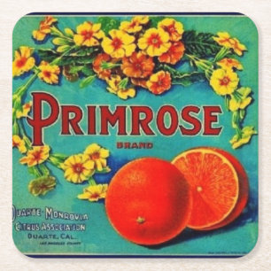 Porta-copo De Papel Quadrado Etiqueta de publicidade à fruta das laranjas de vi