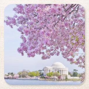 Porta-copo De Papel Quadrado EUA, Washington DC, árvore de cereja na flor