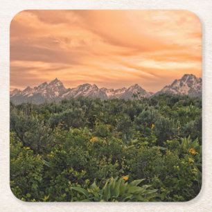 Porta-copo De Papel Quadrado EUA, Wyoming, Parque Nacional Grand Teton 1