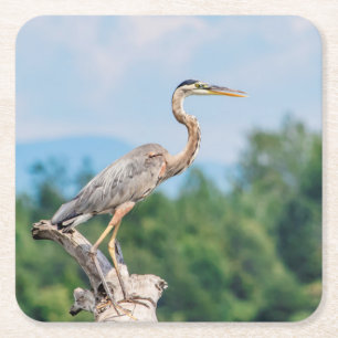 Porta-copo De Papel Quadrado Excelente Blue Heron