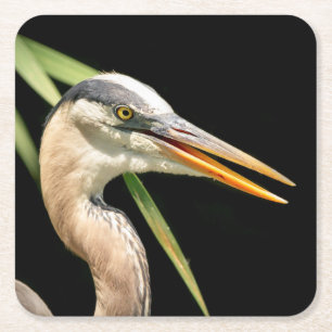 Porta-copo De Papel Quadrado Excelente Blue Heron