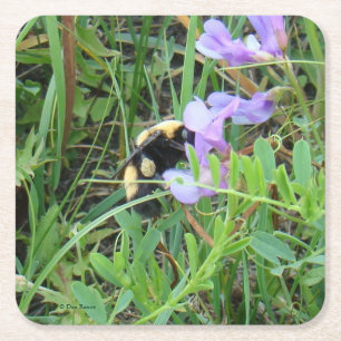 Porta-copo De Papel Quadrado F2 Abelha em Flor Silvestre Roxa