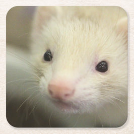 Porta-copo De Papel Quadrado Face de Ferret