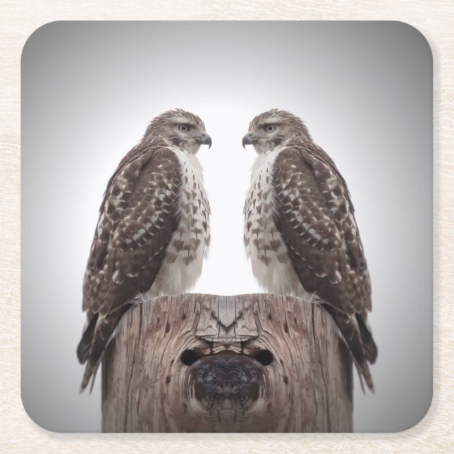 Porta-copo De Papel Quadrado Falcões em um cargo (Frente)