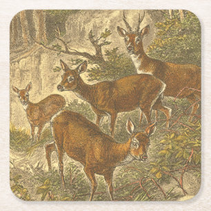 Porta-copo De Papel Quadrado Família de Roe - Deers em Floresta