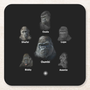 Porta-copo De Papel Quadrado Família Gorilla