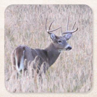 Porta-copo De Papel Quadrado Fanfarrão do Whitetail na porta copos do papel do