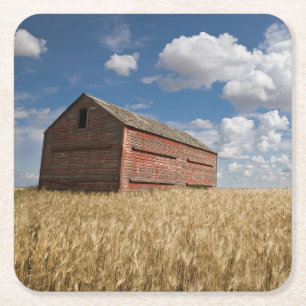 Porta-copo De Papel Quadrado Fazendas Velho Red Barn no Campo de Trigo