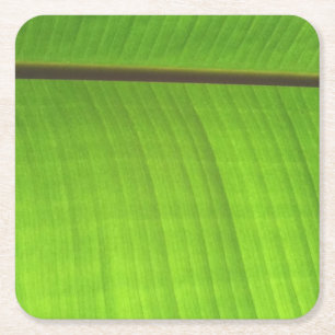 Porta-copo De Papel Quadrado Fecho de Banana Leaf