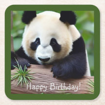 Feliz Aniversário, Barramento de Panda Bonito