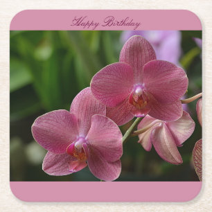 Porta-copo De Papel Quadrado Feliz aniversário, Porta copos de orquídea rosa