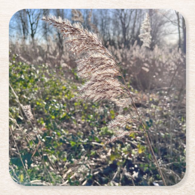 Porta-copo De Papel Quadrado Feliz outono. (Frente)