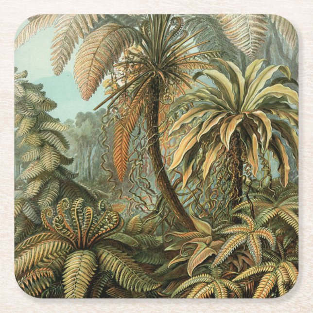 Porta-copo De Papel Quadrado Ferns Palm Tree Arte Botânica Antica (Frente)