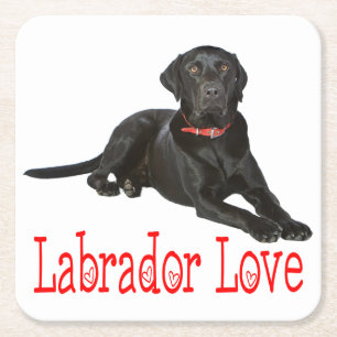 Porta-copo De Papel Quadrado Filhote de Cachorro Labrador Retriever Preto Amor