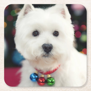 Porta-copo De Papel Quadrado Filhote de cachorro que veste o sino de Natal no