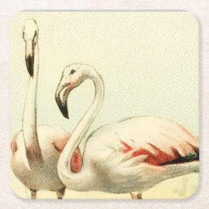 Porta-copo De Papel Quadrado Flamingo Antigo