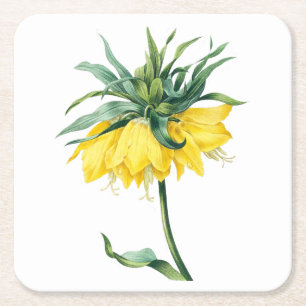 Porta-copo De Papel Quadrado Flor: A002 Coroa de Kaiser -