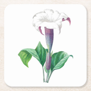 Porta-copo De Papel Quadrado Flor: A006 Thorn Apple -