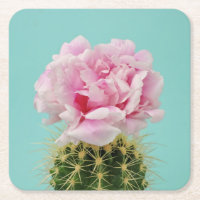 Flor cor-de-rosa sobre o cacto Spiky