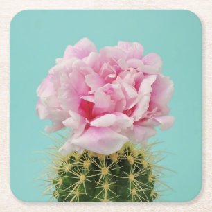 Porta-copo De Papel Quadrado Flor cor-de-rosa sobre o cacto Spiky