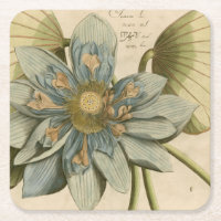 Flor de Lotus Azul no Fundo do Tom com Escrevendo
