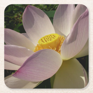 Porta-copo De Papel Quadrado Flor de Lotus Rosa III Verão Floral