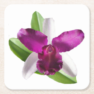 Porta-copo De Papel Quadrado Flor de Orquídea Cattleya