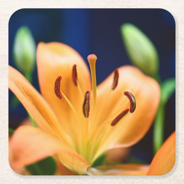 Porta-copo De Papel Quadrado Flor Laranja Lilly (Frente)