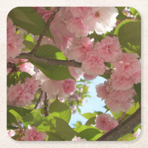 Porta-copo De Papel Quadrado Floral Primavera da Árvore III da Cherry com duas 