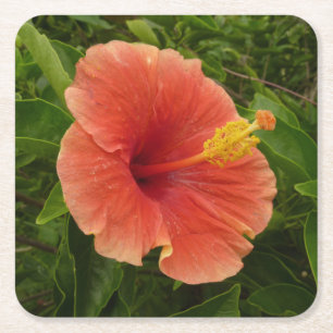 Porta-copo De Papel Quadrado Floral Tropical de Laranja Hibiscus
