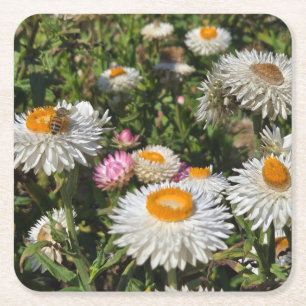 Porta-copo De Papel Quadrado Flores