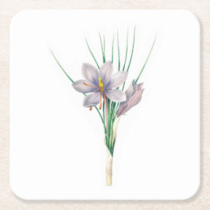 Porta-copo De Papel Quadrado Flores: A007 Autumn Crocus -