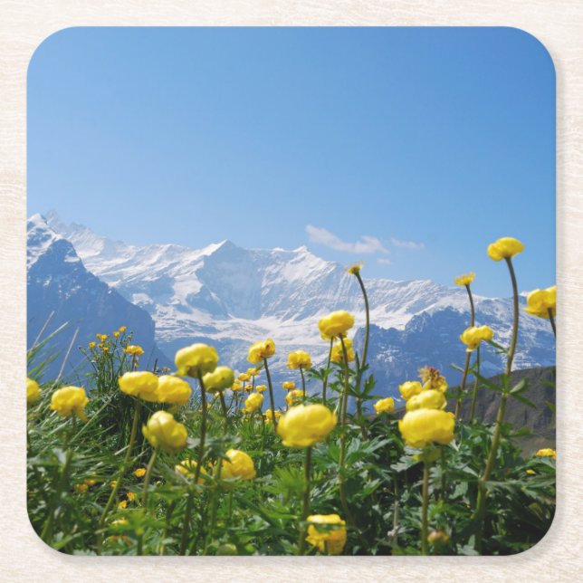 Porta-copo De Papel Quadrado Flores | Alpes suíços Eiger Monch (Frente)