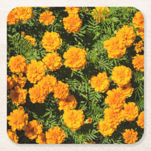 Porta-copo De Papel Quadrado Flores Amarelas Marigold 