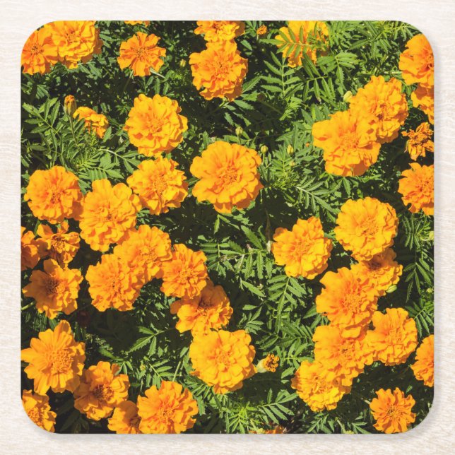 Porta-copo De Papel Quadrado Flores Amarelas Marigold  (Frente)