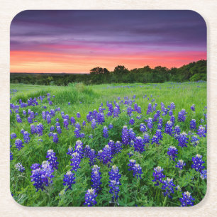 Porta-copo De Papel Quadrado Flores   Bluetooth no Texas Sunset