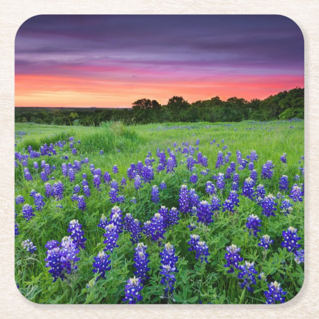 Porta-copo De Papel Quadrado Flores | Bluetooth no Texas Sunset (Frente)