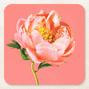 Porta-copo De Papel Quadrado Flores Coral Peony Blossom