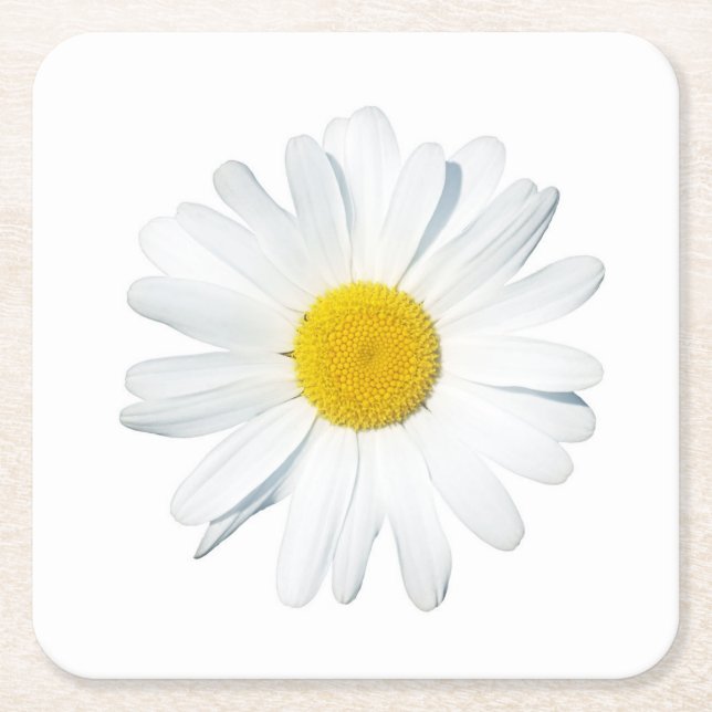 Porta-copo De Papel Quadrado Flores | Daisy Solteiro (Frente)