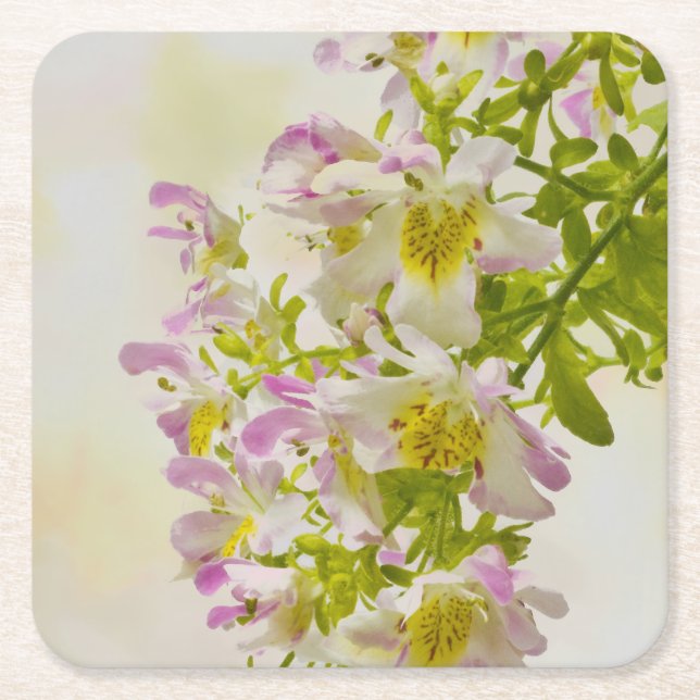 Porta-copo De Papel Quadrado Flores de borboletas (Frente)