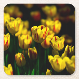 Porta-copo De Papel Quadrado Flores de tulipas amarelas