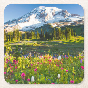Porta-copo De Papel Quadrado Flores   Mt. Rainier Wildflower