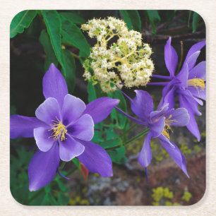 Porta-copo De Papel Quadrado Flores Silvestres Mutantes Columbine